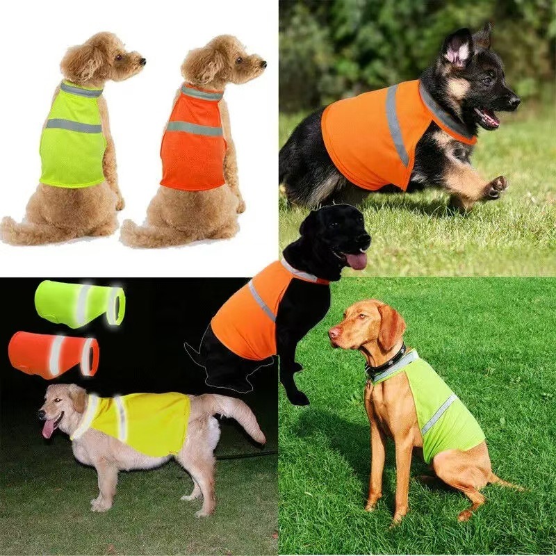 Summer Nights Clothing - Durable Fluorescent Pink Dog Clothing Night