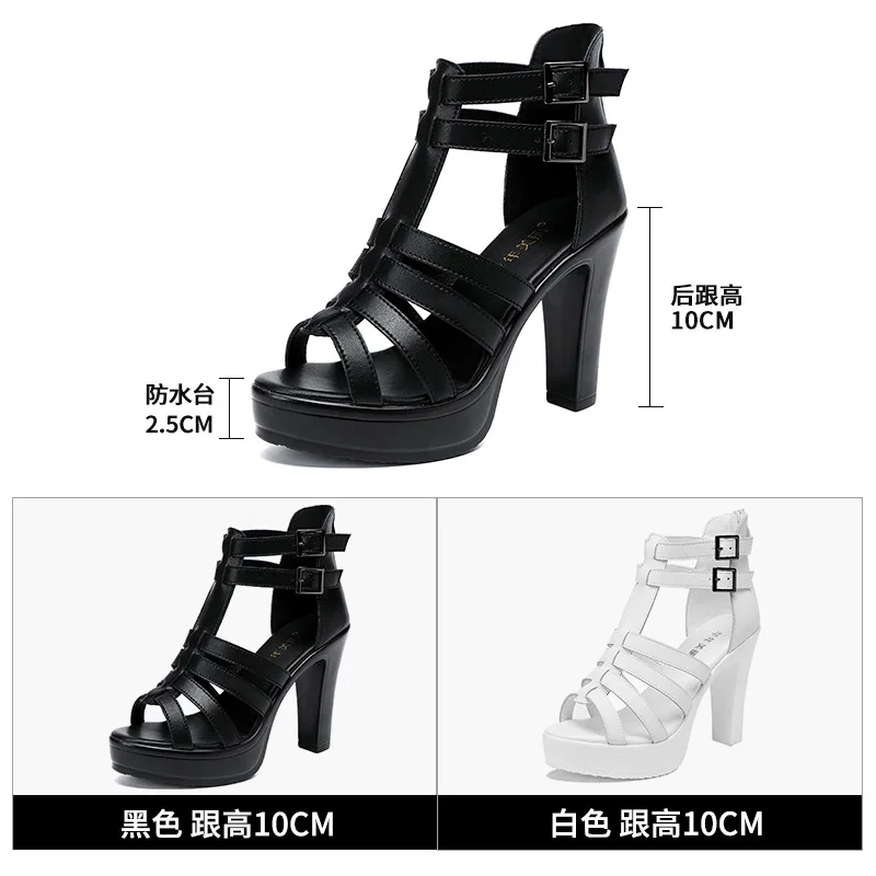 Gladiator Ladies Shoe for Wome - Summer Clothing Items recension och pris