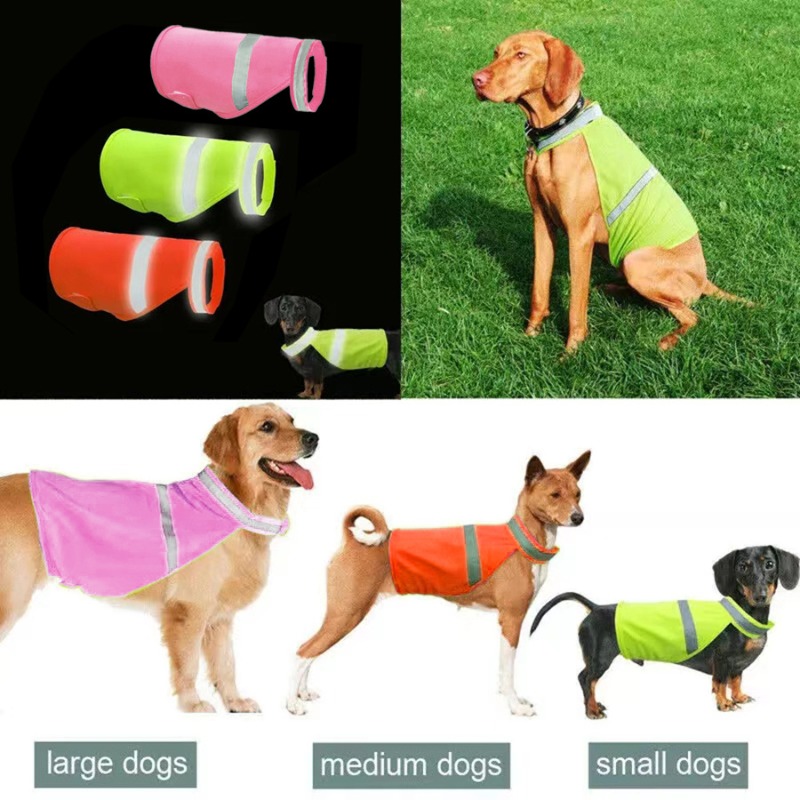 Durable Fluorescent Pink Dog C - Summer Nights Clothing recension och pris